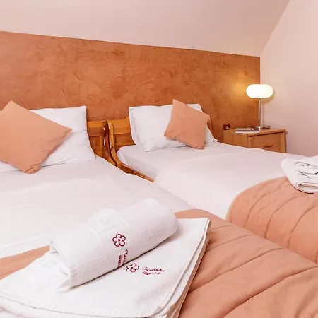 Kraljevi Konaci * Zlatibor